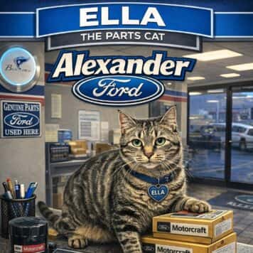Ella Cat