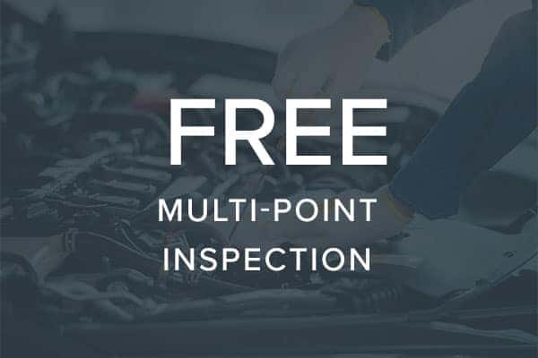 Free Multi-Point Inspection
