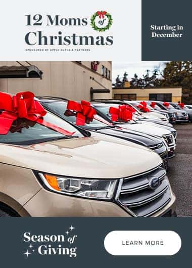 12-Moms-of-Christmas_Panel_380x530
