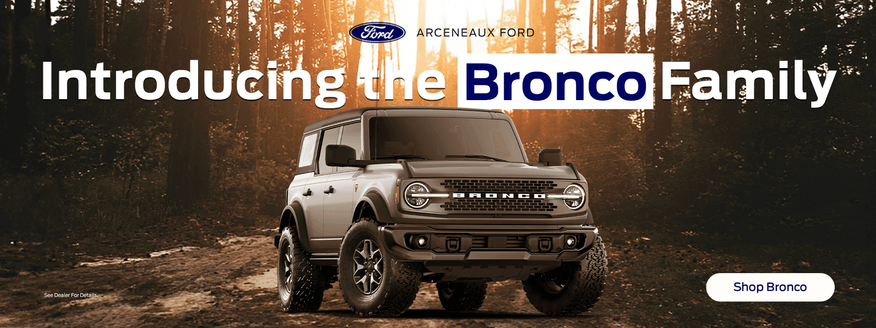 Introducing the Bronco Family