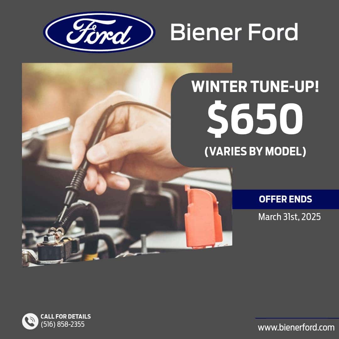 Spring Tune-Up - $650