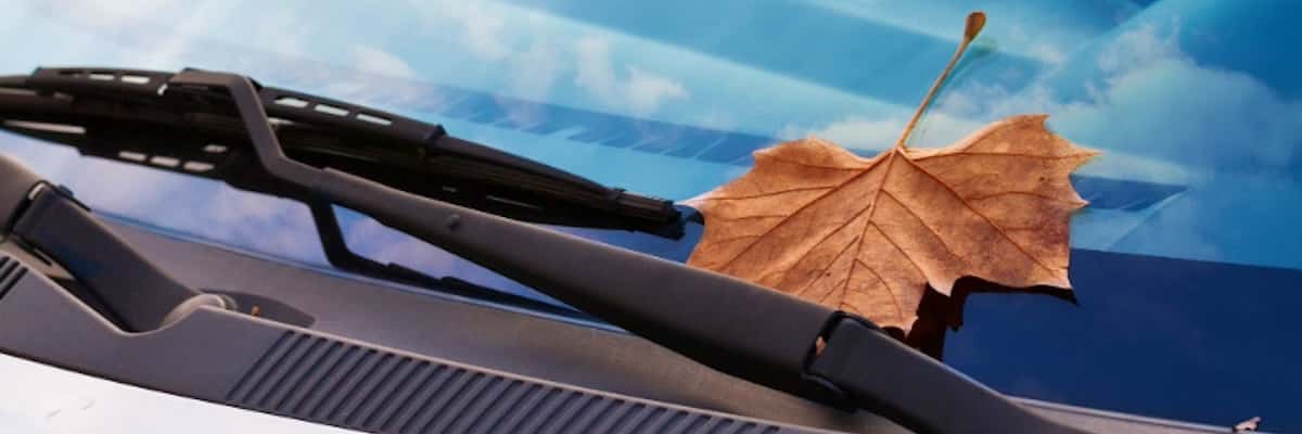 Ford SUV wiper blade sizes