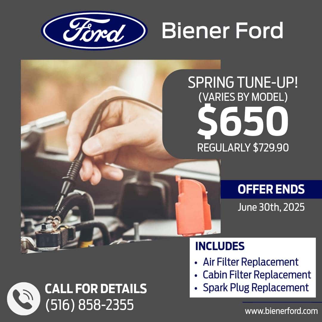 Spring Tune-Up - $650