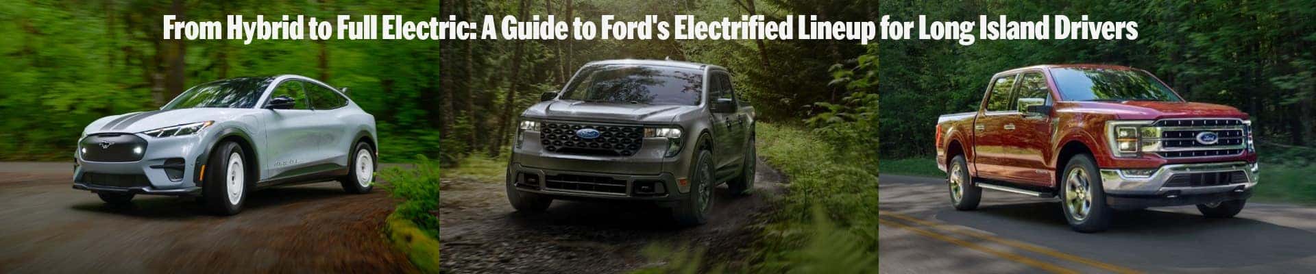 Ford hybrid and electric vehicle lineup for Long Island drivers