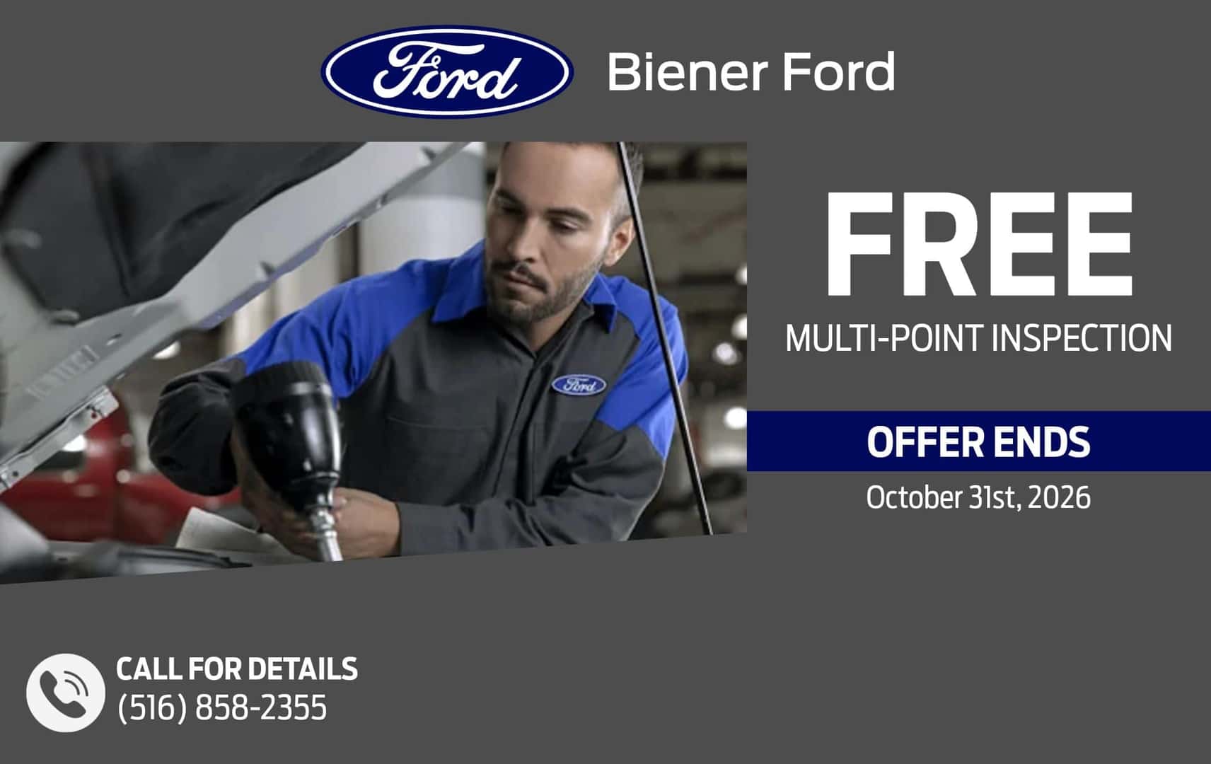 FREE MULTI POINT INSPECTION