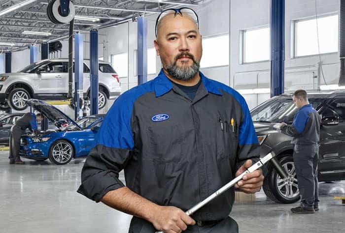 Wild Car Savings
