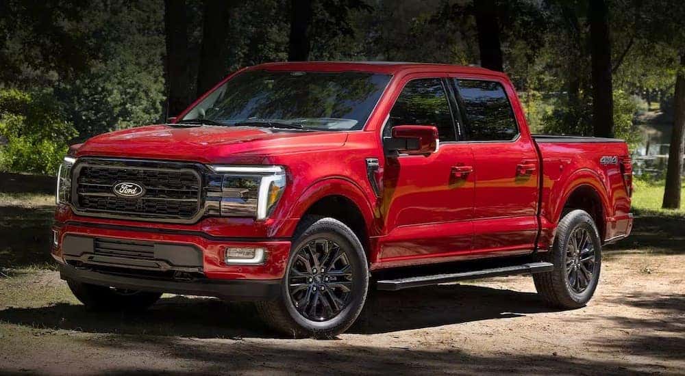 A red 2024 Ford F-150 XLT is shown parked in a forest.