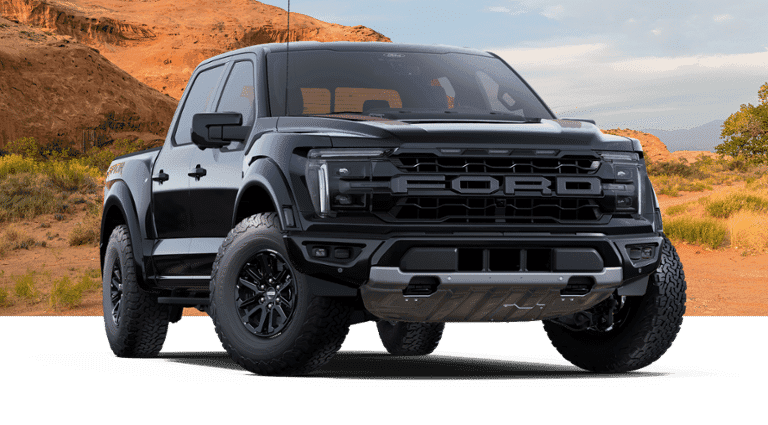 Raptor