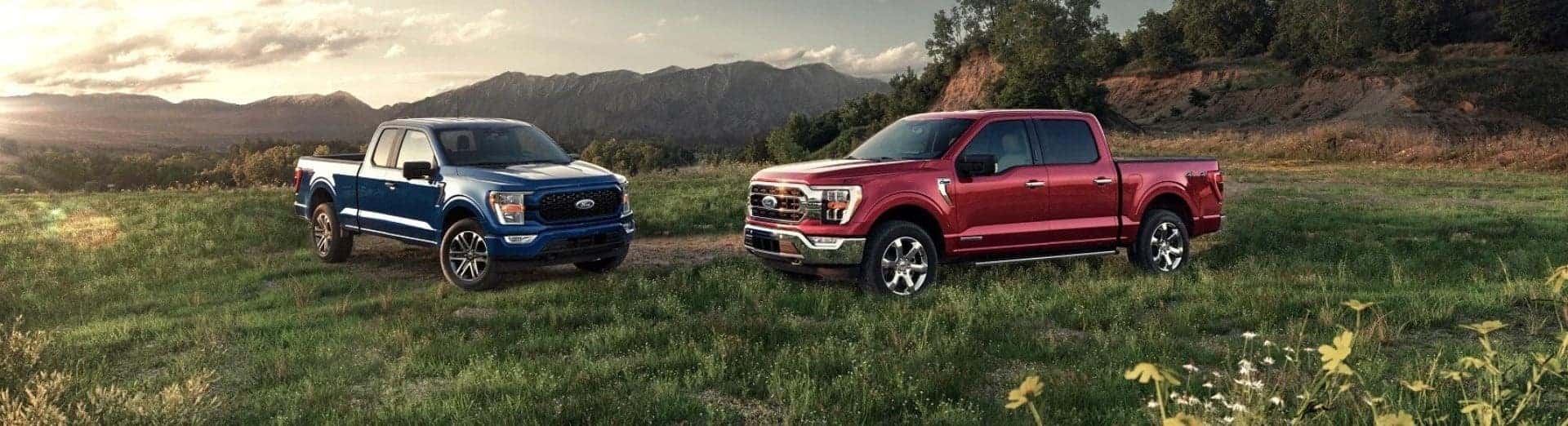 Ford Dealer near Me