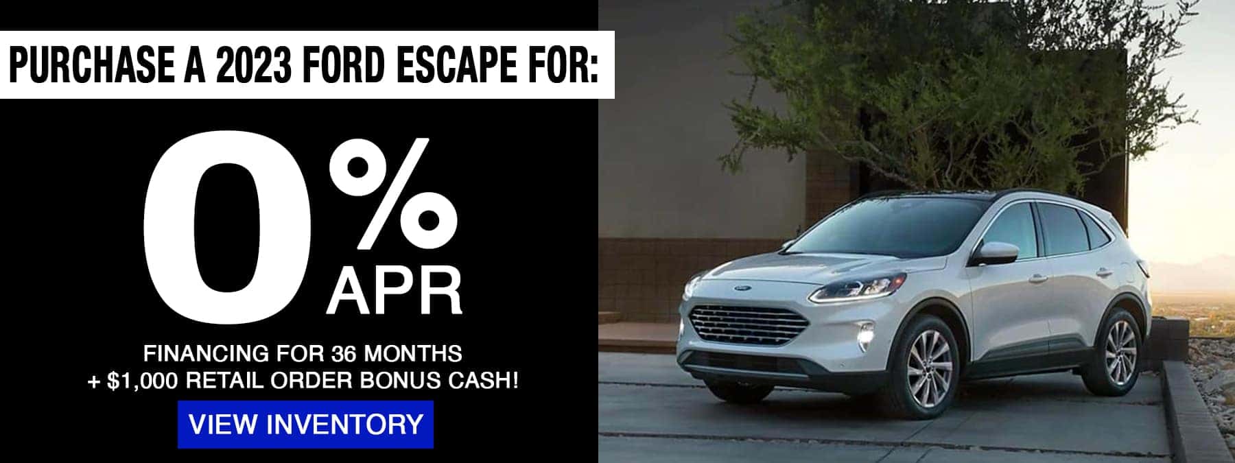 escape march hp