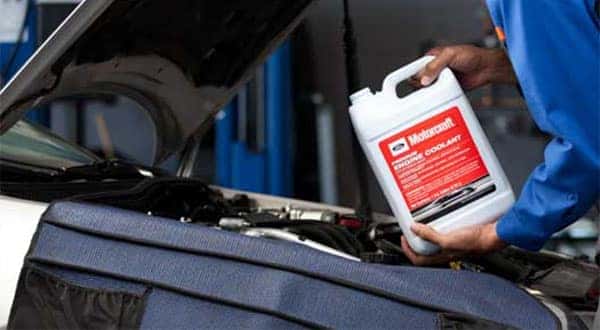Ford Coolant Fluid Exchange Service