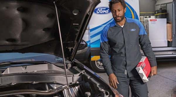 Ford Filter Service