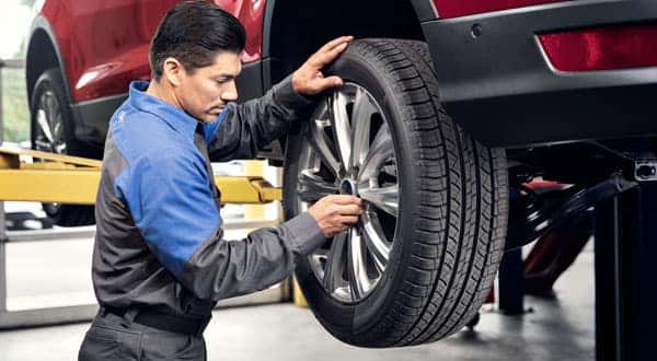 Ford Service Technician