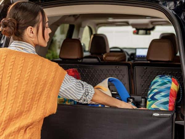Ford Cargo Organizer Accessory