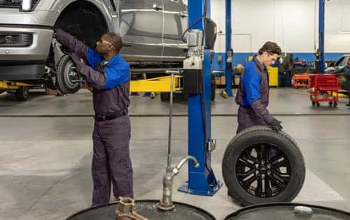 Ford Rewards