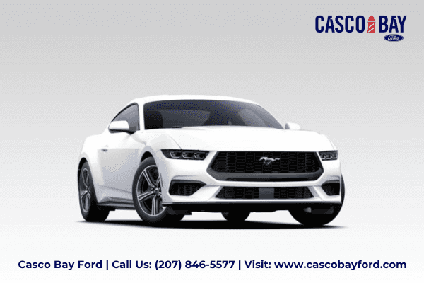 Summer Sales Event