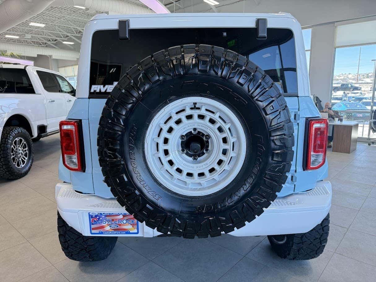 Robbin's Egg Blue Bronco Heritage