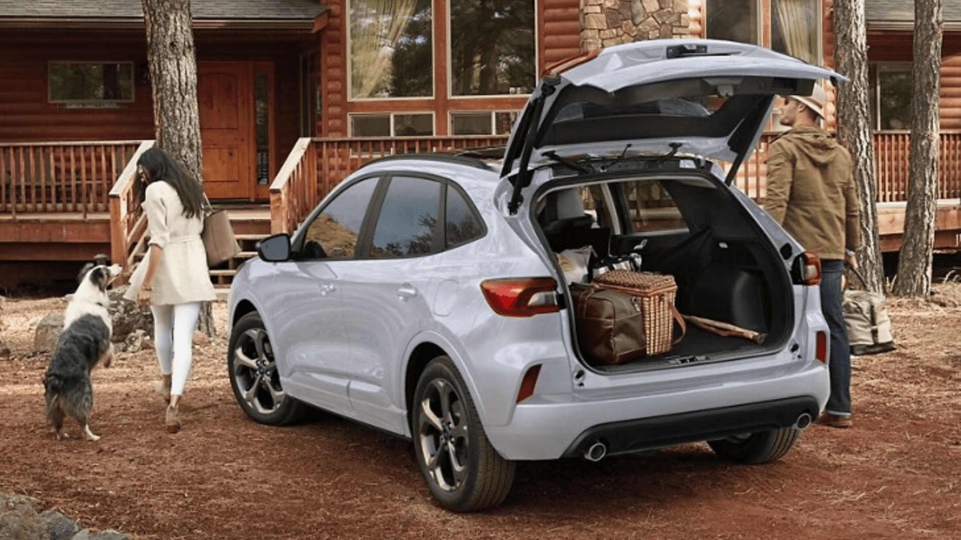 new Ford Escape from behind