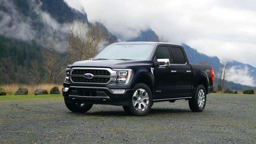 Round Rock Ford F-150 for sale