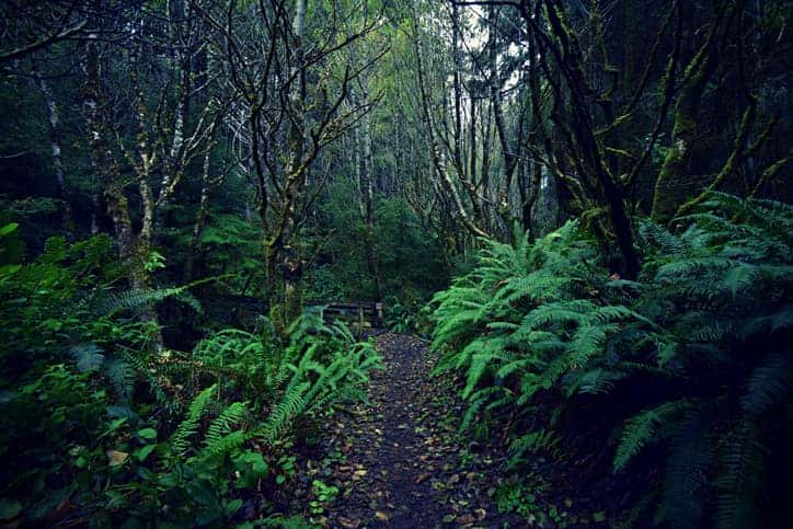Oregon Coastal Trail