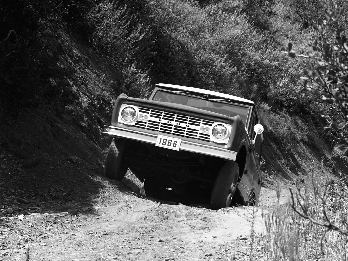 1966 Ford Bronco Off Road Front End