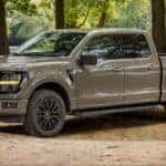 ford f-150 carhartt