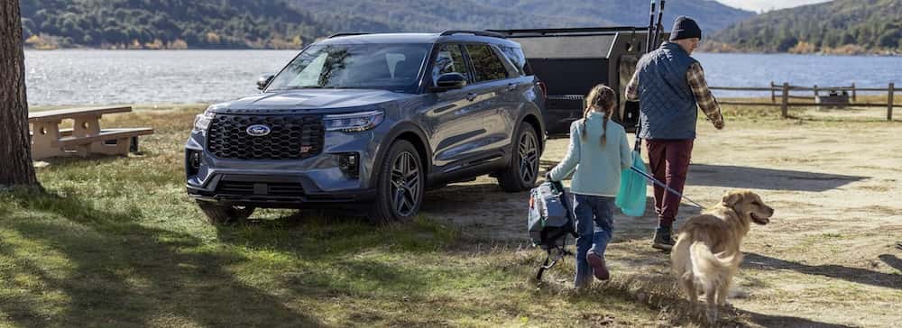 Pet-Friendly Ford Vehicles