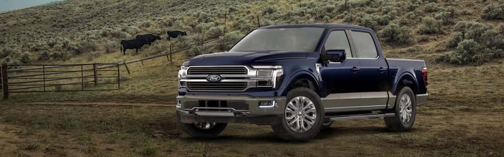 Choosing-the-Right-Ford-F-150-Trim--XL--XLT--Lariat--King-Ranch--Platinum--and-Raptor