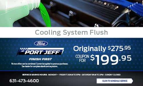Cooling System Flush