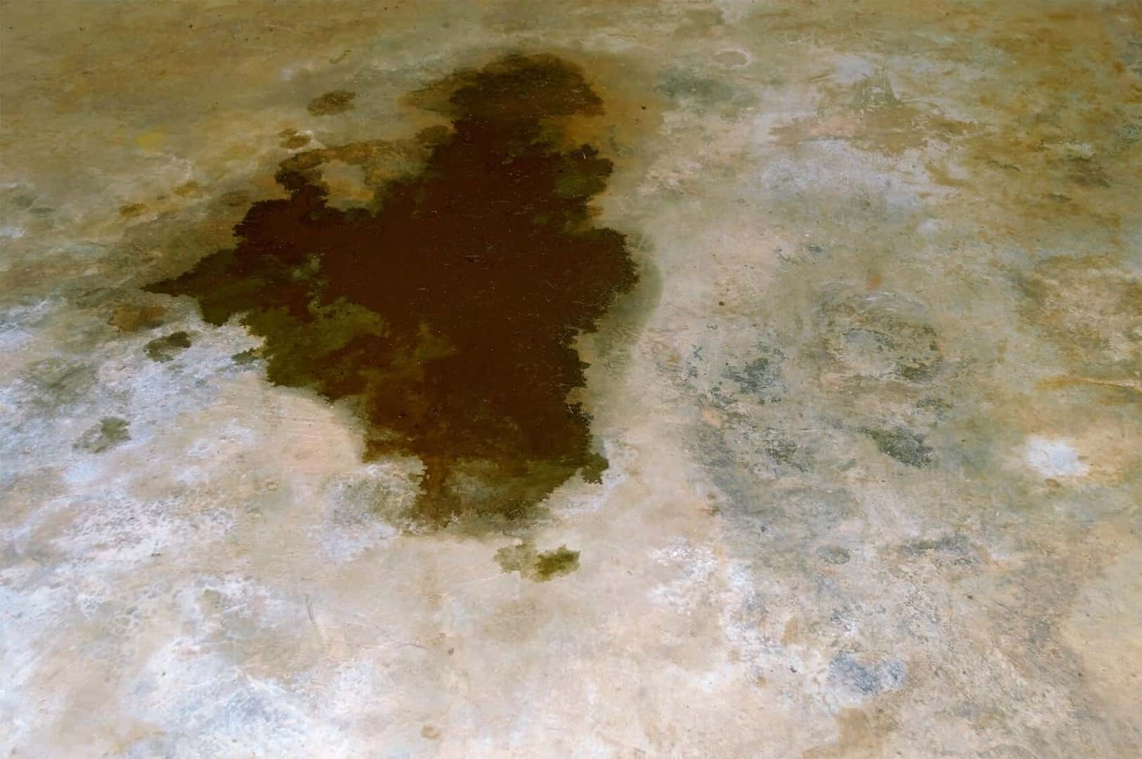 Transmission fluid leaking in garage