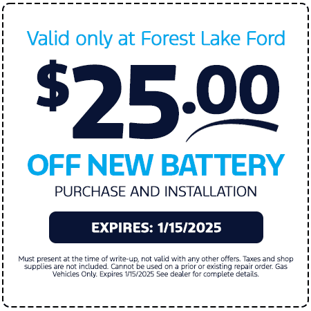 Ford Battery Service Special