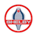shelby