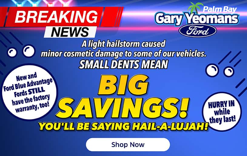 Hail sale! 