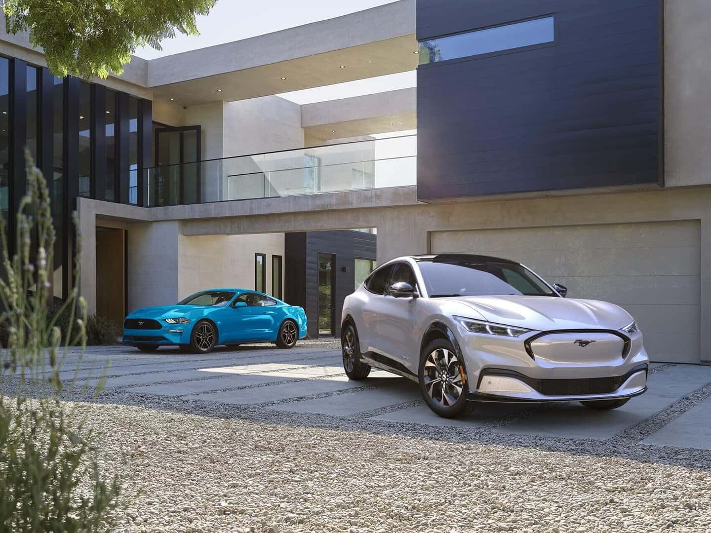 Ford Inventory