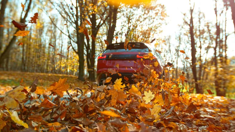 A red car driving through a leaf covered road.