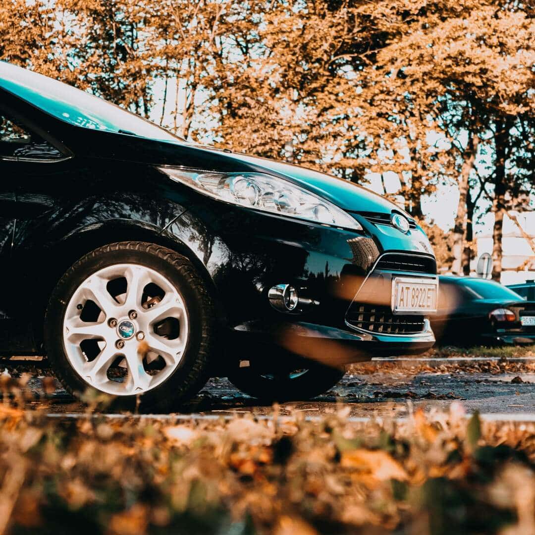 ford cars in fall lot