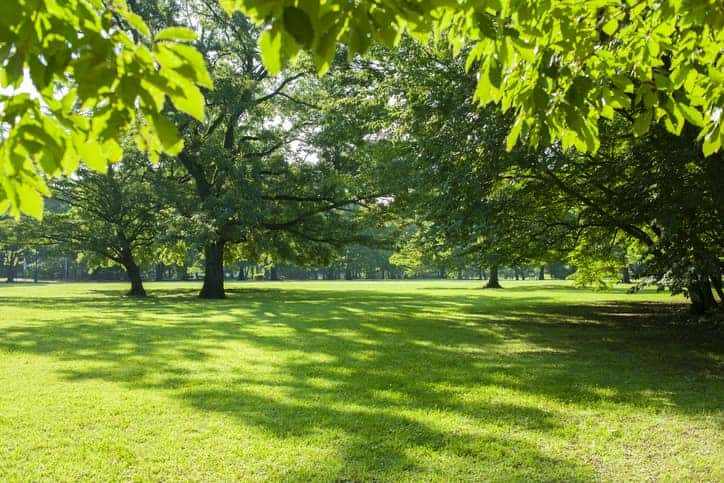 green park