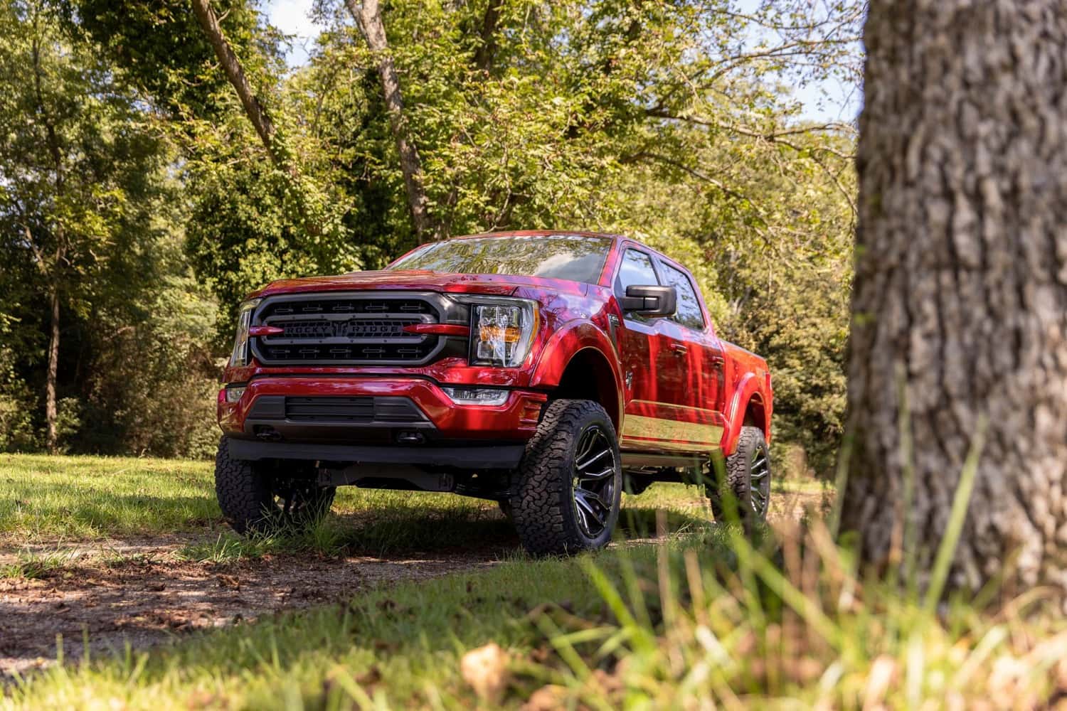Ford Rocky Ridge Trucks for Sale in Savannah