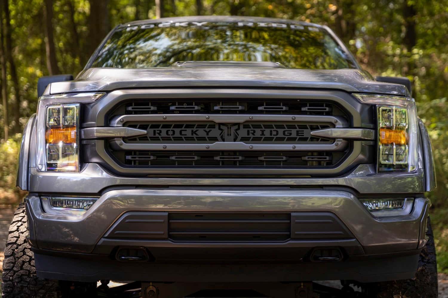 Ford Rocky Ridge Trucks for Sale in Savannah