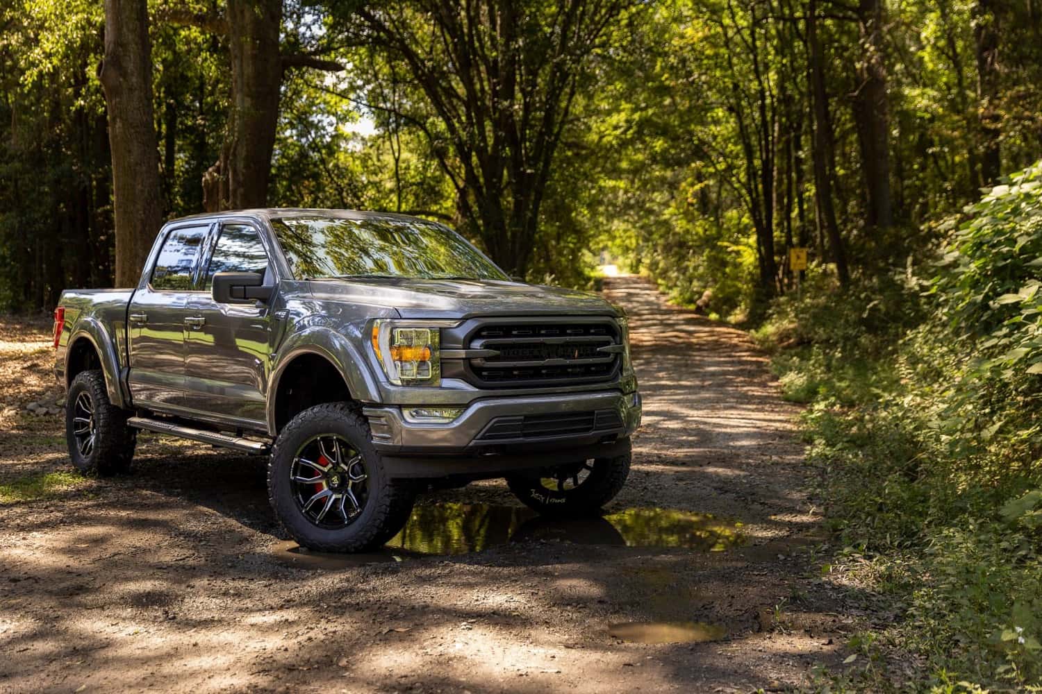 Ford Rocky Ridge Trucks for Sale in Savannah