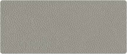 2026 Ford Mustang interior colors swatch in Space Gray