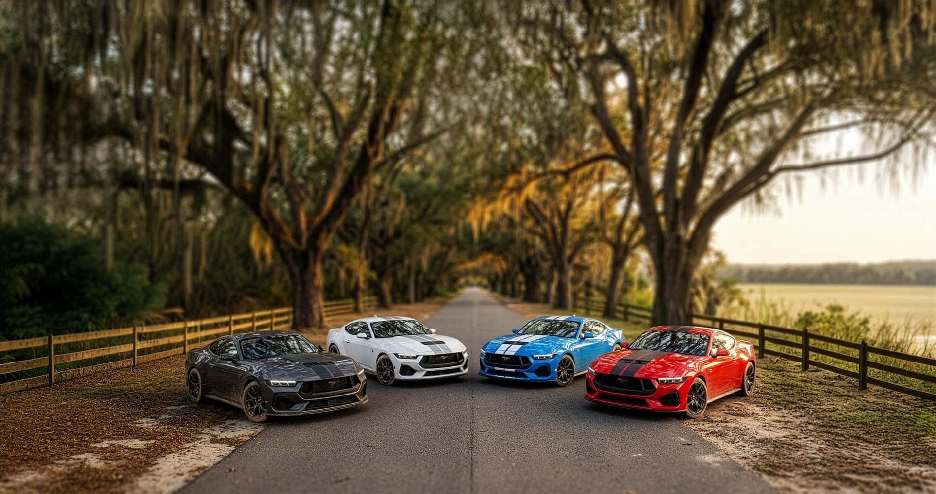 Four 2025 Shelby Mustang GT350 models parked in rural Georgia with willow trees lining the narrow road