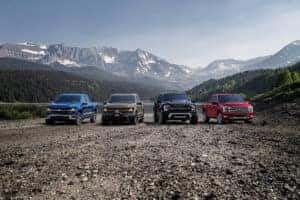 lineup of the Ford F-150 trucks with mountain in background