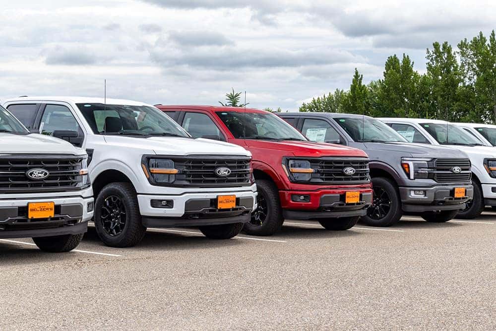 lineup of Ford trucks on New Prague Ford lot