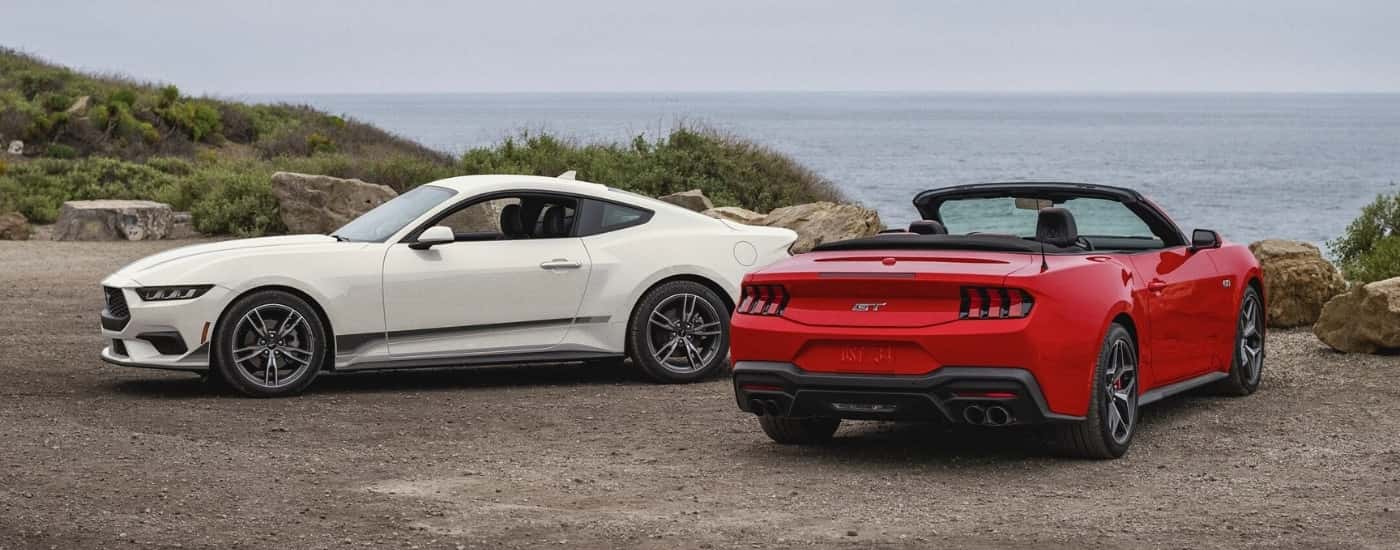 A white 2025 Ford Mustang and a red Mustang GT parked on a coastal lot.