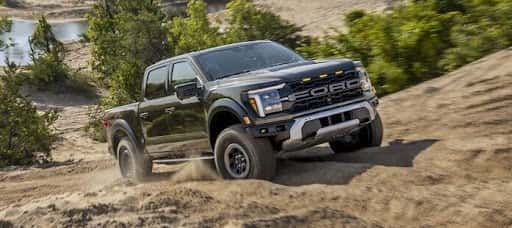 Raptor