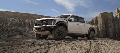 Raptor R