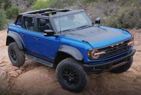 Raptor® Black Appearance Package Go Dark