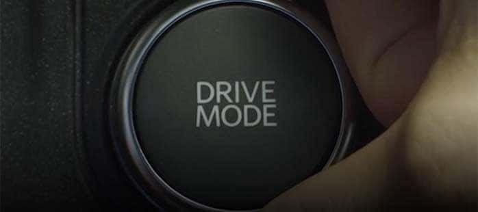 drive with confidence