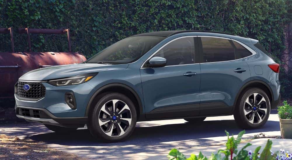 A blue 2025 Ford Escape Platinum parked near flowers.